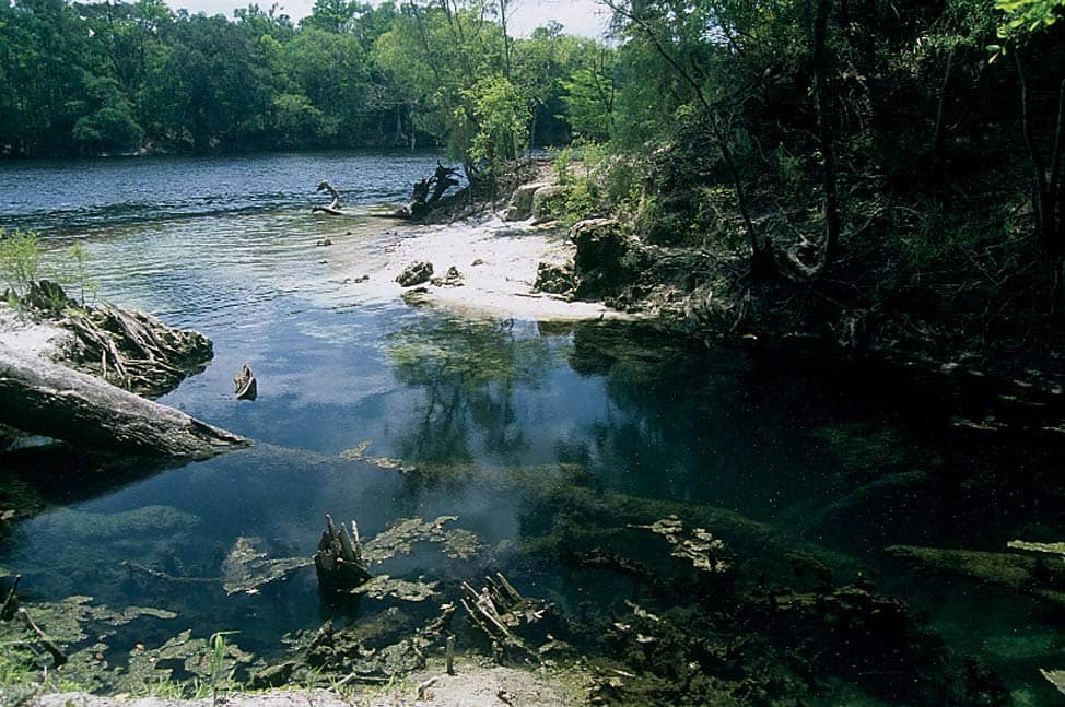 Turtle Spring in Florida, near Suwannee River